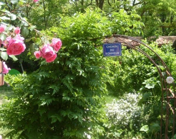 La chambre d'hôte Au Gré Du Temps Montlaur (Haute-Garonne) Exterior foto